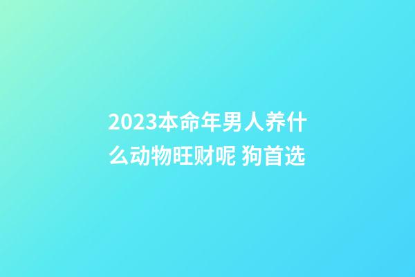 2023本命年男人养什么动物旺财呢 狗首选